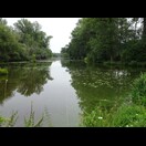 Einer der zahlreichen Altarme der Moldau